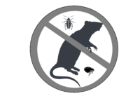 312046-1254-e1541822846564